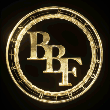 BoyBrotherFriend